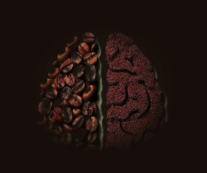 Ein Gehirn, zur Hälfte aus ganzen Bohnen, zur Hälfte aus gemahlenem Kaffee